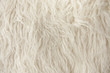 Wood Rug Fiber Close Up Wood Rug Fiber Close Up