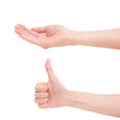 human hands
