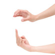 human hands