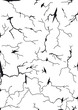 Risse