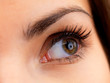 Closeup of a female eye Closeup of a female eye