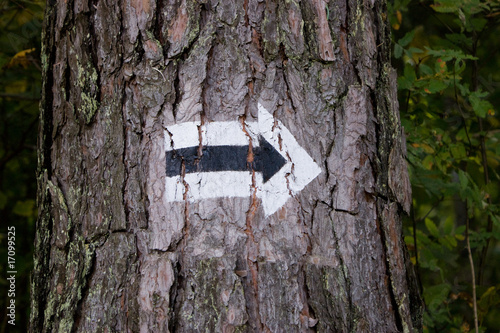 Black and White arrow