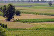 Campagna friulana
