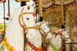 Carrousel in Old Town 9