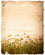 old flower paper - with space for text or image old flower paper - with space for text or image