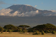 Kilimanjaro