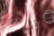 3d rendered human cells in vein