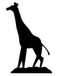 Giraffe Shadow 2