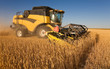 Yellow  harvester