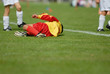 chute sur le gazon