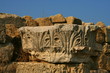 Chapiteau, ruine de Salamis, chypre Chapiteau, ruine de Salamis, chypre