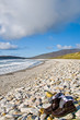 Irland