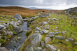 Irland