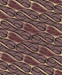 pattern brown coffee