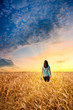 woman in wheat field walking to sunset
