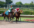 Foto: Horse Race Horse Race