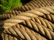 Corde