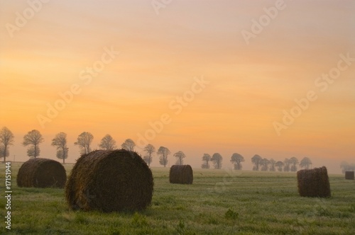 Meules de paille dans un paysage champêtre Meules de paille dans un paysage champêtre