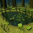forest pond