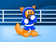 boxing squirrel