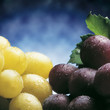 White and black grape