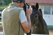 photographer and horse