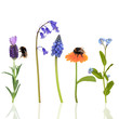 Bumble Bees and Flowers