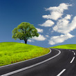 Road Road