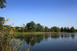 Romantische Teichlandschaft