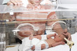 Photo: Newborn baby inside incubator Newborn baby inside incubator