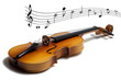 Violon