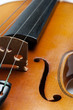 Violon