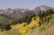 Autumn in the Mountains
