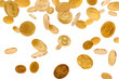 Falling Gold Coins