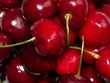 Cherries
