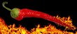 Flaming chili pepper on flaming background