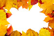fall leaves frame