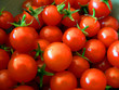 Tomates cerises 2