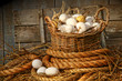 Basket of eggs on straw Basket of eggs on straw