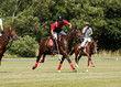 Playing Polo