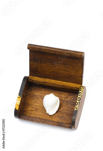 Photo: white seashell in the wooden box white seashell in the wooden box