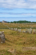 Prehistoric menhirs alignment in Carnac, Brittany, France