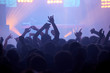 main foule concert musique fan hystérique artiste discothèque main foule concert musique fan hystérique artiste discothèque