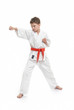 Karate Kid