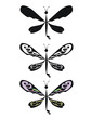 stylized dragonfly