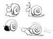 Schnecke, Schnecken, Schneckenhaus, langsam Schnecke, Schnecken, Schneckenhaus, langsam