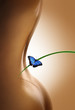 Beaute Corporel et Papillon