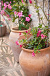 pots à fleurs