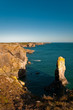 Elegug Stacks