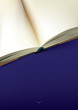 Opened book design with blank pages